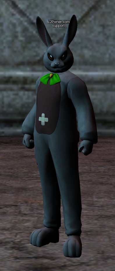 rabbit.jpg